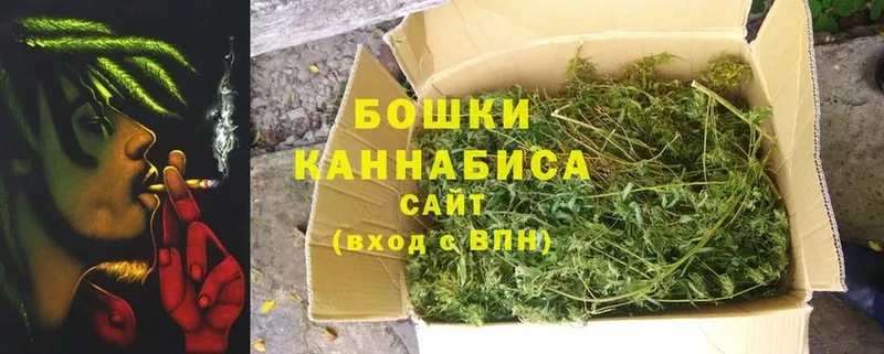 Шишки марихуана White Widow  Порхов 